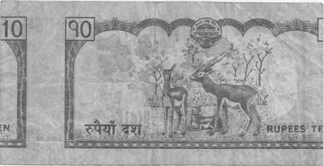 khoti-money